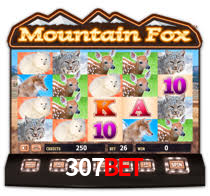 307bet.com