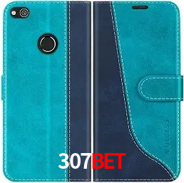 Segurança 2FA 307bet