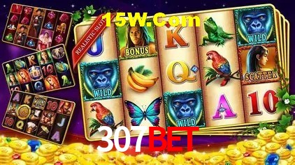 Sistemas de Segurança 307bet